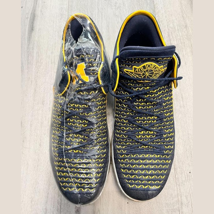 Jordan XXXII Low Michigan